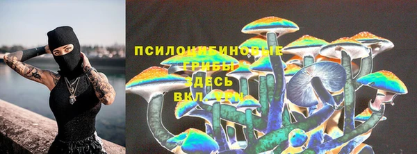 альфа пвп Горняк