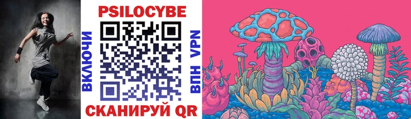 Псилоцибиновые грибы Psilocybine cubensis  гидра зеркало  Чулым 