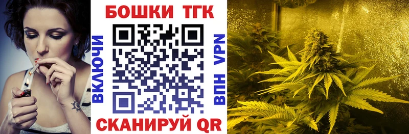 Каннабис планчик  Чулым 